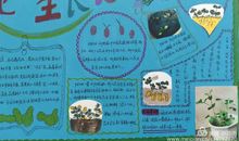 初一日记：豆娃娃成长记_700字