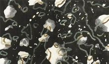 感悟人生的大爱_800字