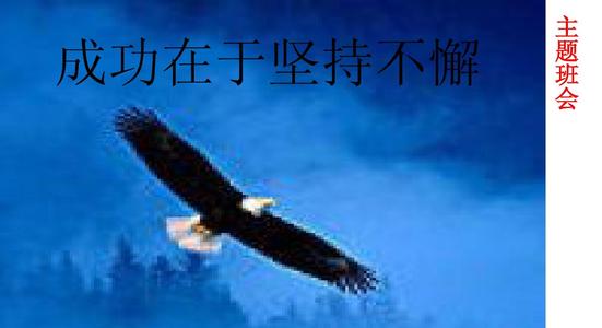 坚持成功_500字