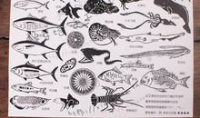 老师，请放过宝贵的课间十分钟吧_350字