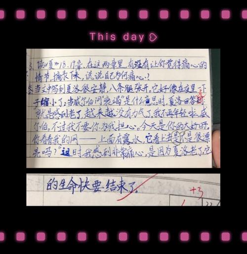 四个禁止直播：时间，我想对你说_550字