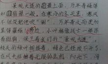 我们家乡的环境_500字