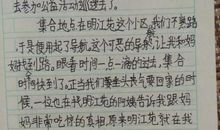 四年级日记：试卷发下来后_550字