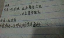 我懂得了努力学习_500字