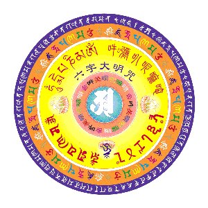 出生于世界_300字