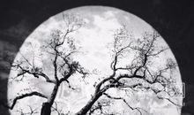 爱劳动的孩子_500字