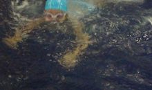 在空中游泳的鱼