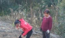 我收获了劳动的快乐_450字