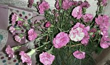 妈妈我想你_1200字