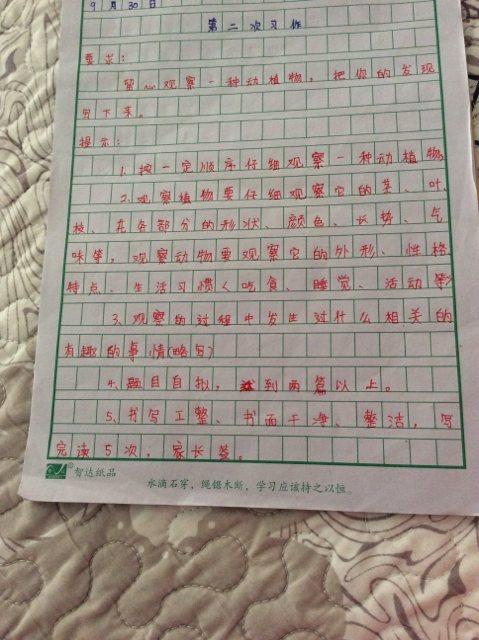 给它一个快乐的_750字