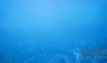 海水为何是咸的