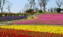 啊,美丽的小小生态园_1200字