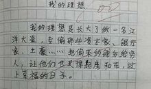 关于梦想的作文：我的梦想_900字