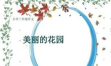 美丽的花园_300字