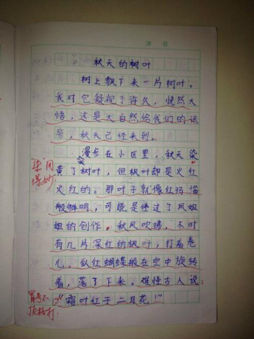 春天，是一个触摸_800字