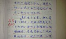 春，是一种感动_800字