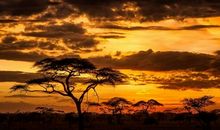 日落的风景_650字