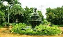 我想象中的23世纪_800字