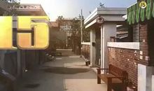 三叶堇上的晴天娃娃_3000字