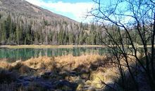 兔可可的奇幻兔生 【三】胡萝卜风波_550字