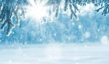 可怕的大雪_250字