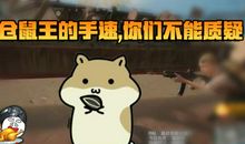 仓鼠“逃生记”_500字