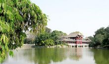 美丽的中山公园_2000字