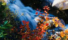 茉香安琪儿之真爱——惨淡_1200字