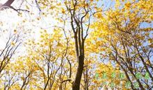 这些，足以让你温暖