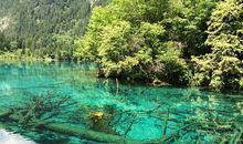 美丽的九寨沟_1200字