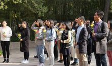 守护甜心之琴声动人（一）_1200字