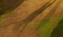 黯瞳曦百花（第三集）_650字