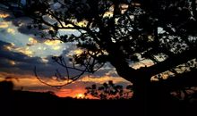 山的那一边是……_1200字