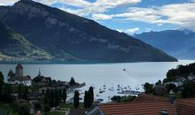 我心中的美景_650字