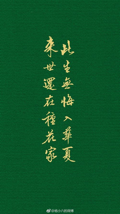 妻子，不再爱你_1200字
