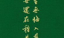 来生，再也不爱你_1200字