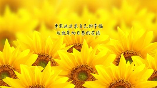 他是一名交换学生。他拥有独特的独特魅力。他笑得很聪明，非常阳光，就像一个小女孩喜欢向日葵。小女孩喜欢这个男孩，因为他给了她的阳光，他是独特的阳光，小女孩是一位欣赏他的向日葵。