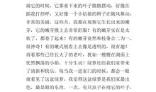 猫之日记（一）_300字