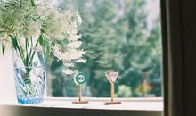 淡淡的阳光_600字