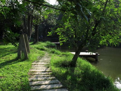 Dafans Forest Park_650字