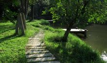 大夫山森林公园_650字