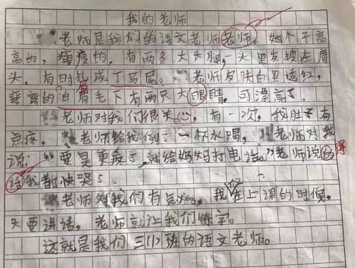初级作家组成：我心中的好老师_700字