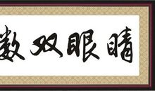 那双快乐的眼睛_700字