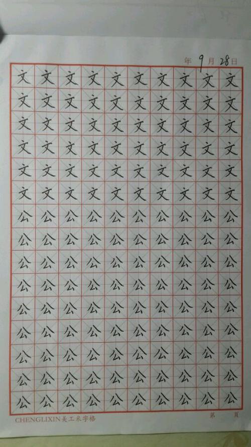 写一个20天的学院入学考试_250字