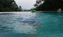 我学会了游泳_1500字