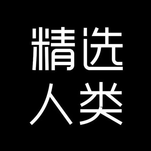 这真的很有趣_550字