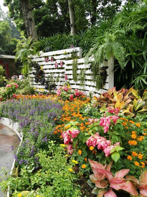 美丽的乐秀帕克_450字