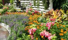 美丽的越秀公园_450字