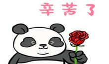 中秋节儿子的笑话：母鸡怀孕了