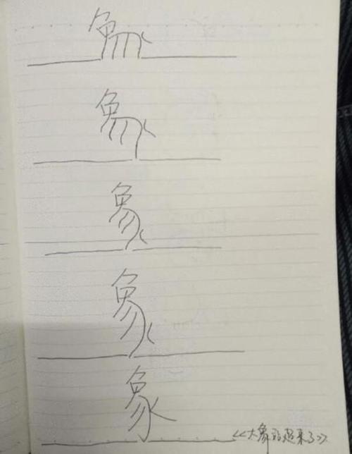 所以我的十个就像这样，我飞，在此问题之后，我明白小金鱼不能与小乌龟一起举。